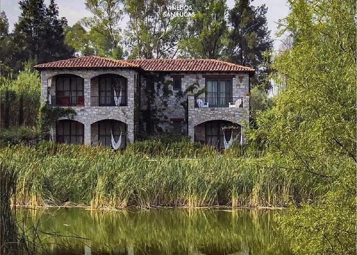 Viñedos San Lucas