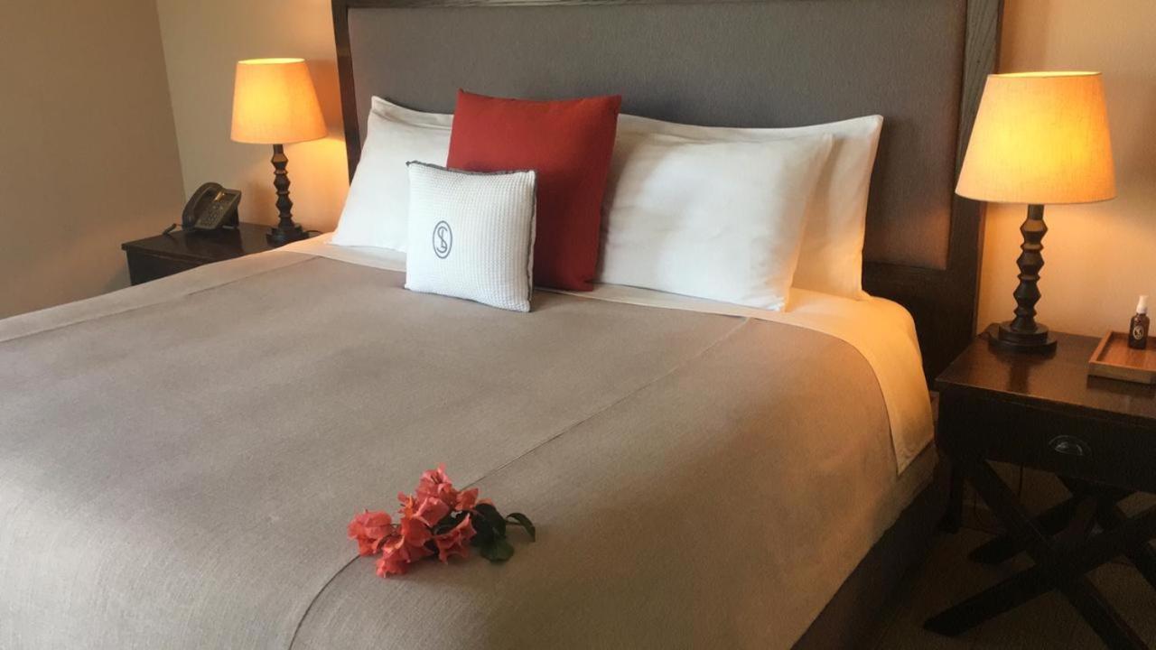 Viñedos San Lucas Hotel